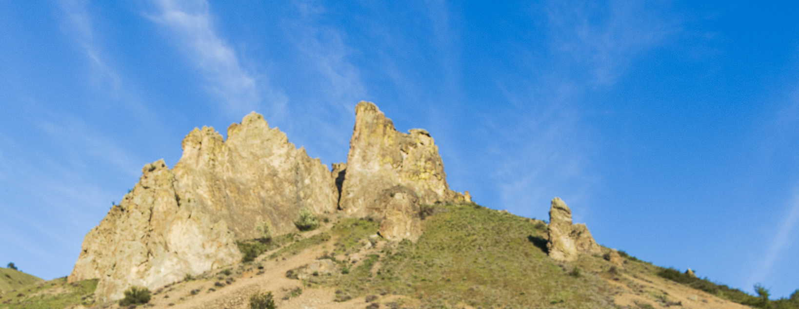 Mindful Walk/ Caminata Consciente